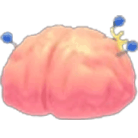 Exposed Brain - Rare from Accessory Chest